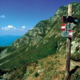 di Jacopo Zucchini - Una fitta rete di sentieri escursionistici tra Pelago e Rufina che si estende per ben 195 chilometri,...
