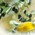 a cura della redazione di OrientePress    XLI Rassegna dell’Olio Extravergine d’oliva di Reggello Da venerdì 1 a domenica 3...