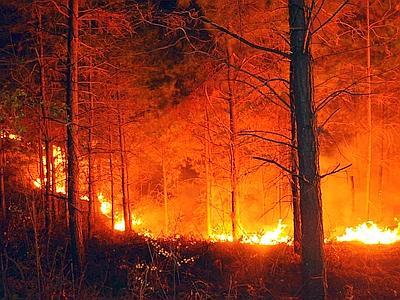 Revocato a Figline Valdarno il periodo a rischio incendi