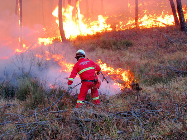 Incendi, tutte le buone pratiche per prevenirli