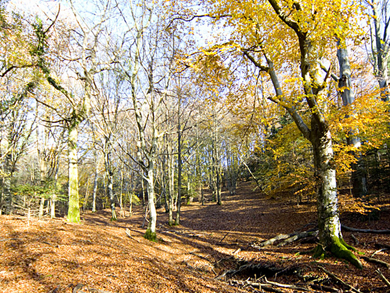 Uno scatto per l’ambiente naturale