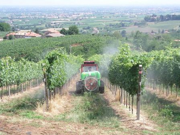 A scuola di fitosanitari alla Festa dell’Olio di Pontassieve