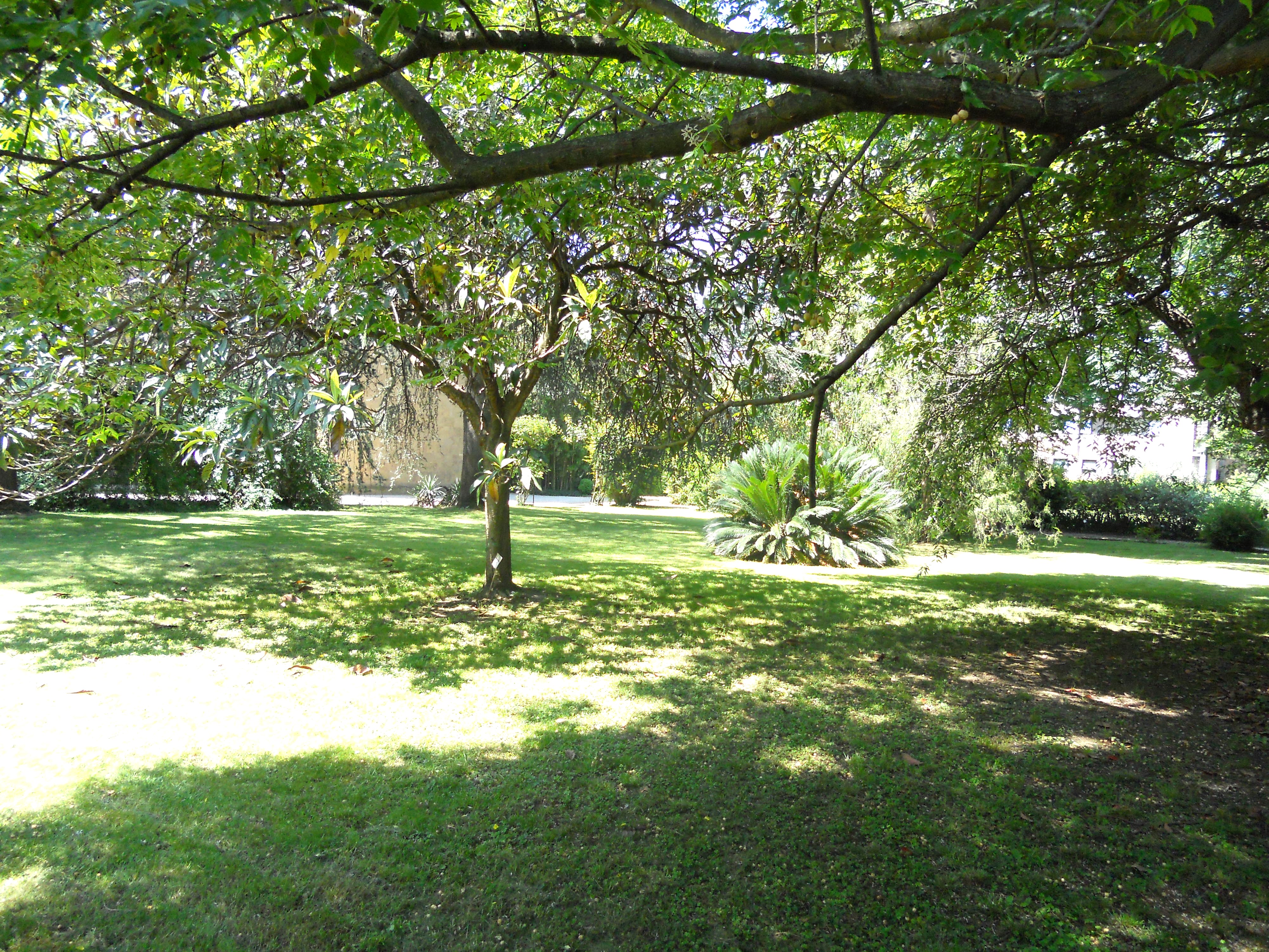 “I profumi di Boboli” sposano il Giardino Tropicale di Firenze