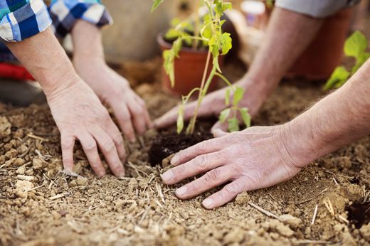 Notizie flash- Agricoltura sociale a Bagno a Ripoli