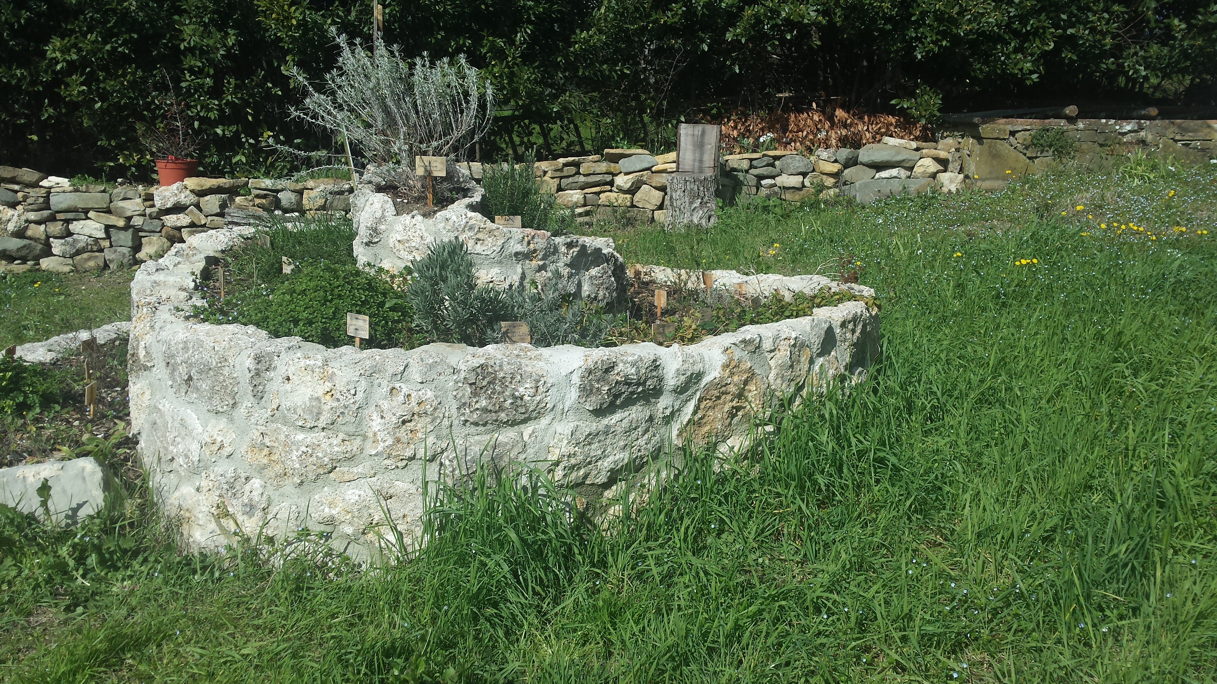 E’ primavera! Anche nell’Orto Botanico “del paese sulla collina”