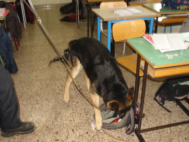 La buona scuola: fra temi retrò e buone intenzioni