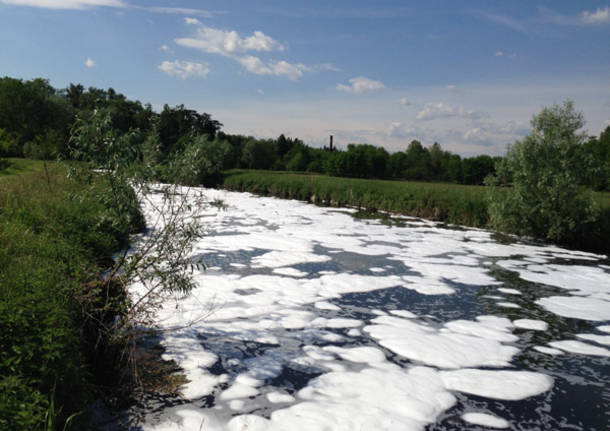 Legge sugli ecoreati, otto mesi dopo. La Toscana al terzo posto per reati accertati!