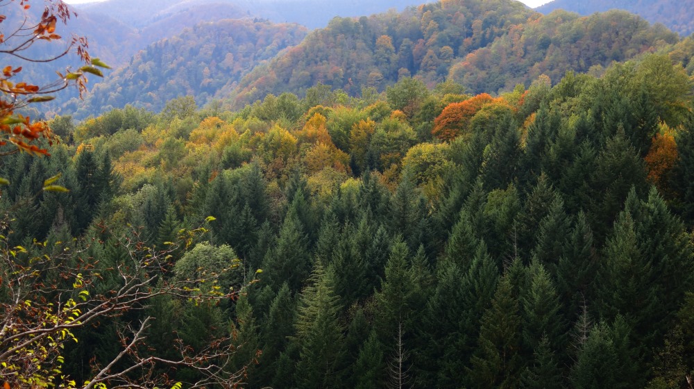 Il “nostro”  parco Patrimonio dell’Umanità