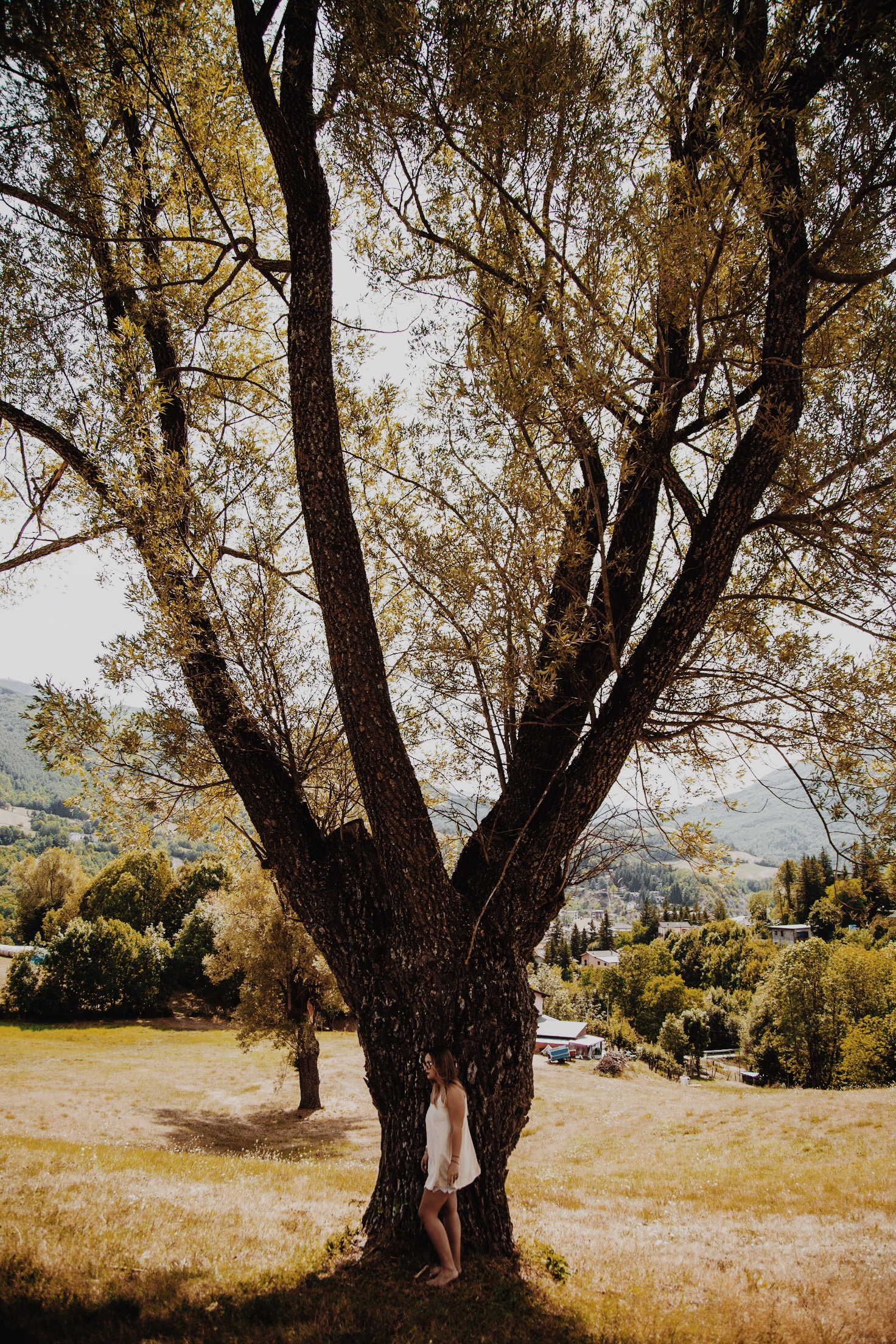 LA CULTURA DEGLI ALBERI