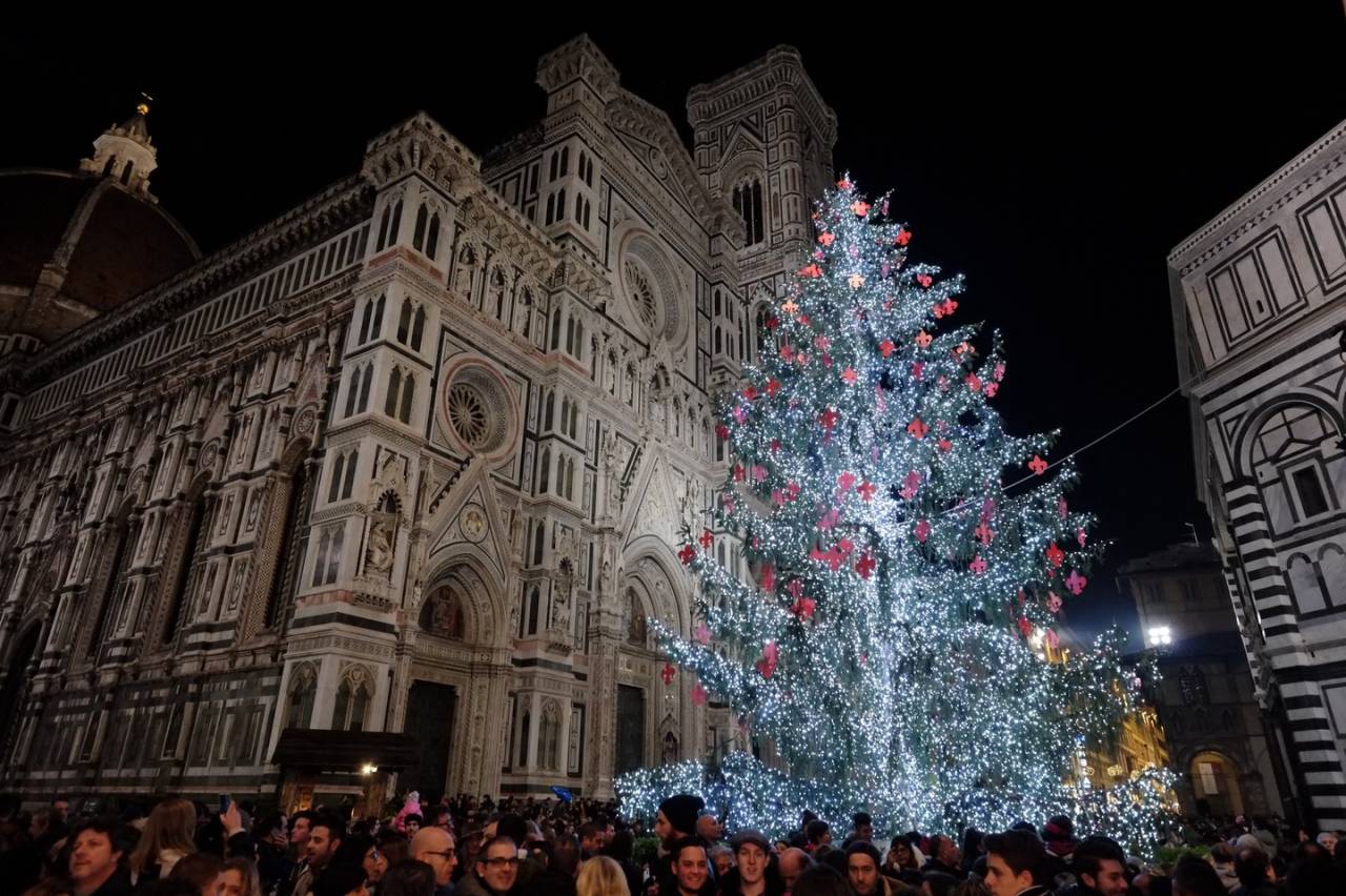 Albero di Natale? Sì, ma quello vero!