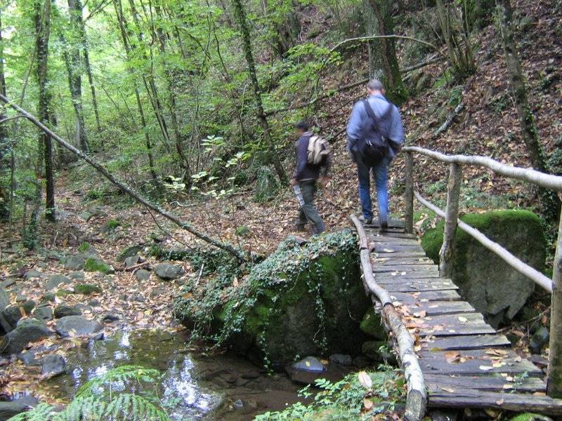 Robin Hood a… Reggello