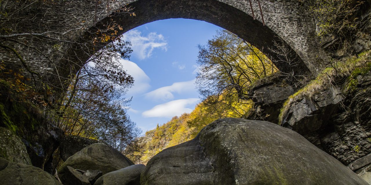 Terre del Levante Fiorentino “Custodi della montagna”