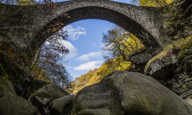 Terre del Levante Fiorentino “Custodi della montagna”