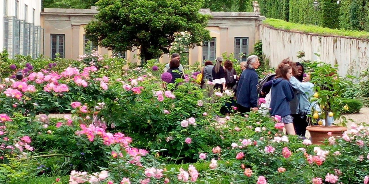 Diventare giardiniere d’arte: una realtà più vicina!