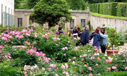 Diventare giardiniere d’arte: una realtà più vicina!