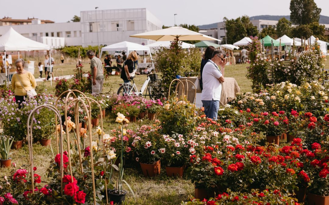 72 ore di biodiversitĆ : un esempio virtuoso in Toscana