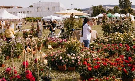 72 ore di biodiversità: un esempio virtuoso in Toscana